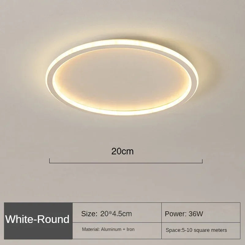 Bright Modern LED Ceiling Lamp