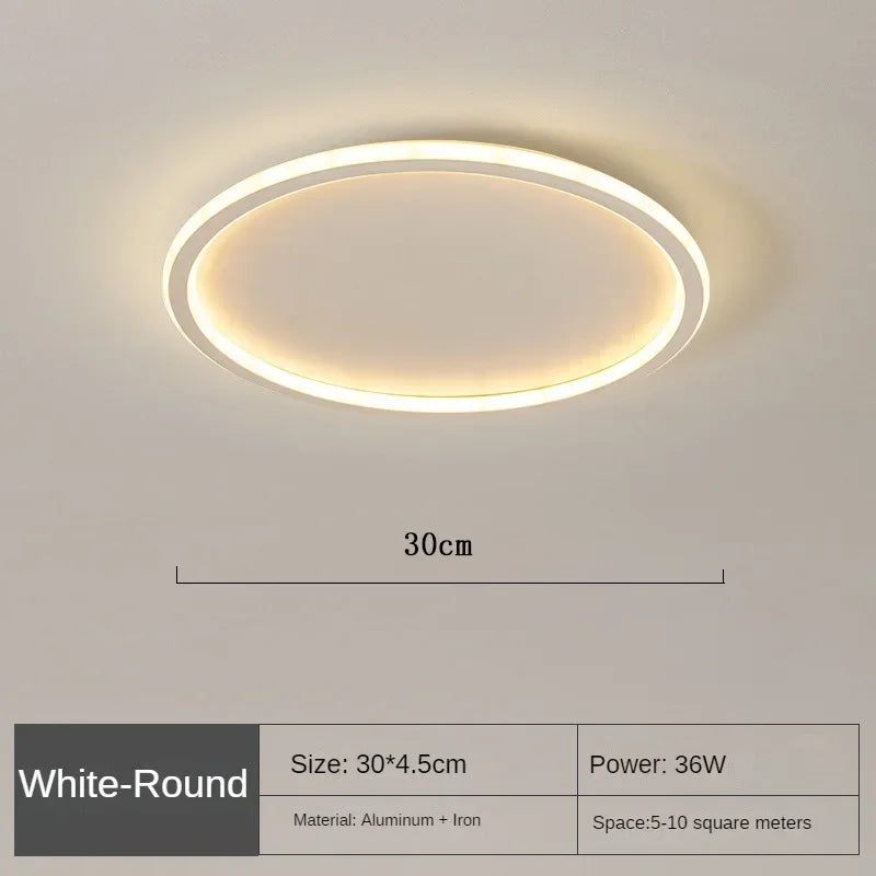 Bright Modern LED Ceiling Lamp
