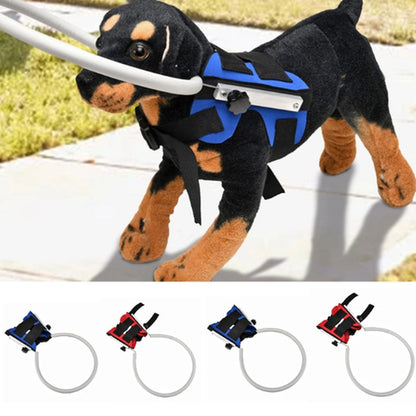 Pet Safe Adjustable Blind Dog Safety Collision Ring - Pexav
