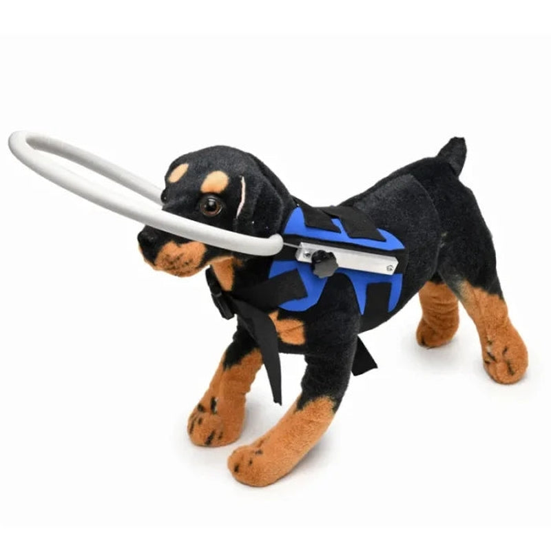 Pet Safe Adjustable Blind Dog Safety Collision Ring