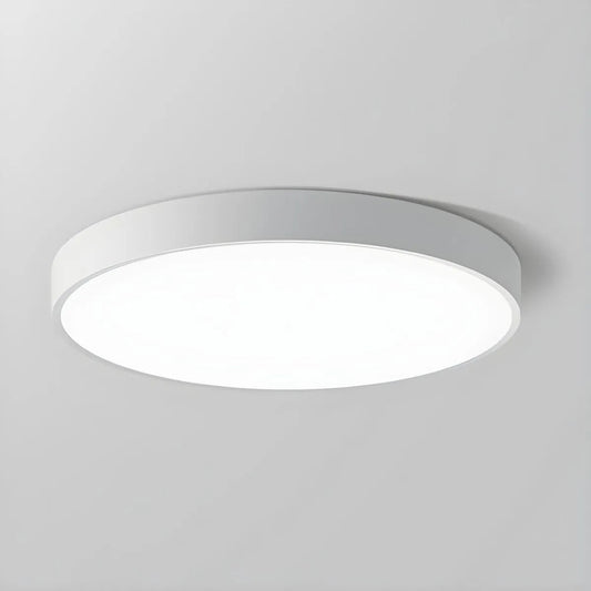 Stylish Circular LED Ceiling Fixture - Pexav