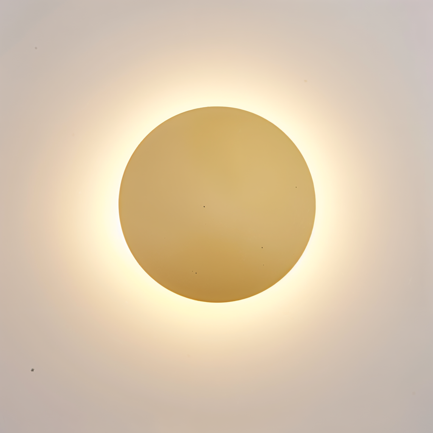 Simple LED Wall Light - Contemporary SconceFixture - Pexav