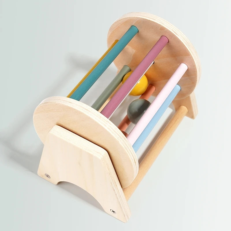 Montessori Wooden Ball Tracker Toy with Color and Shape Recognition, Fine Motor Skill Development, Safe for Months 7+