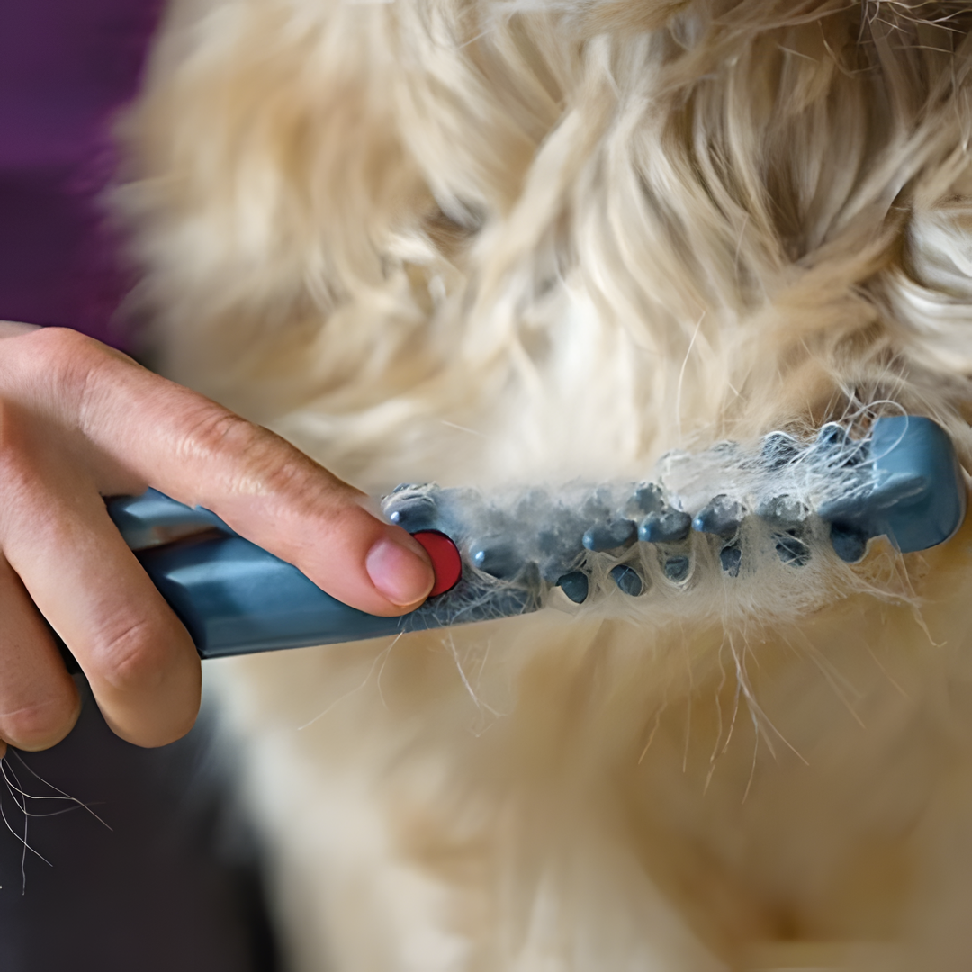 Easy Pet Detangling Brush for Dogs and Cats