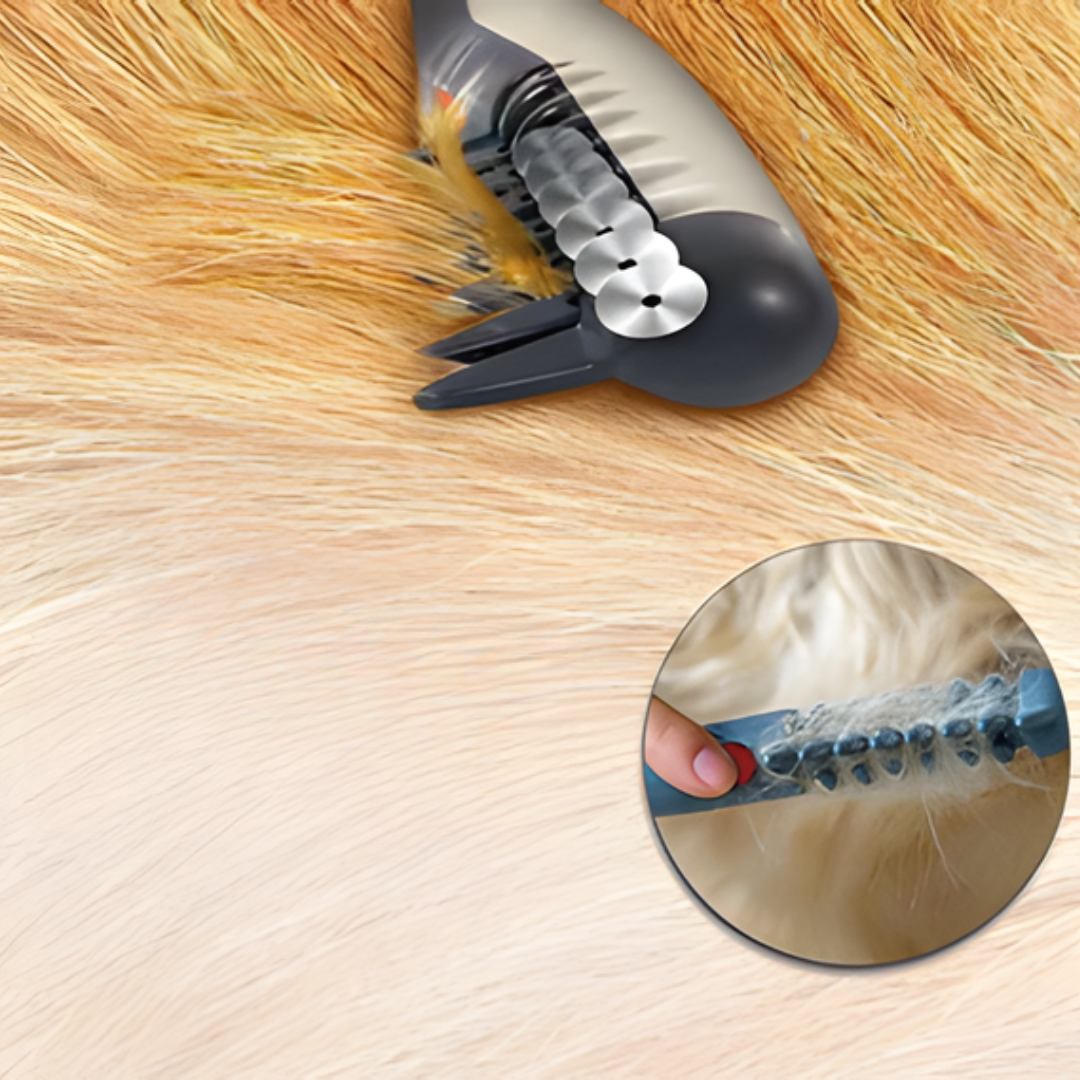 Easy Pet Detangling Brush for Dogs and Cats