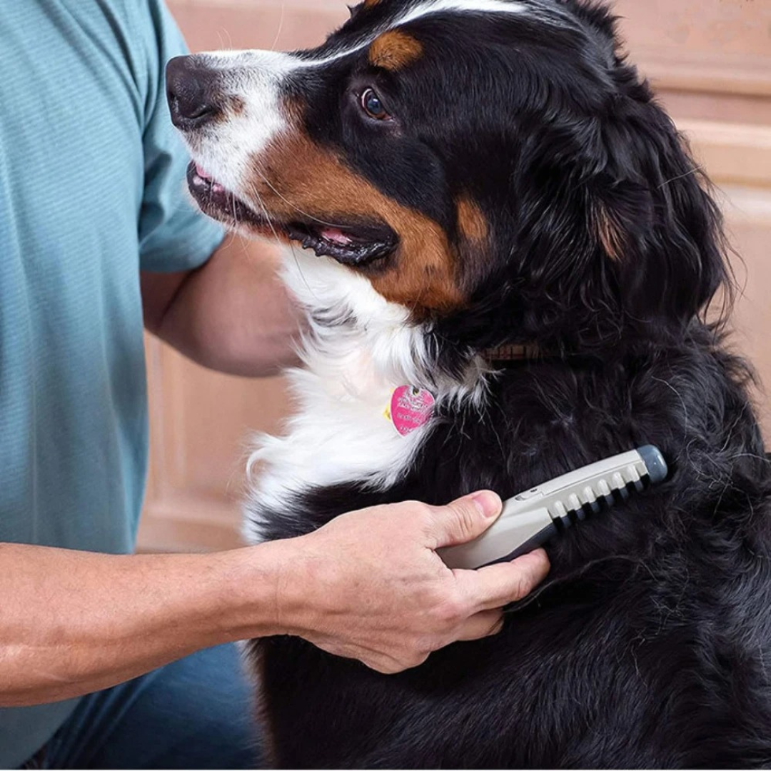 Easy Pet Detangling Brush for Dogs and Cats