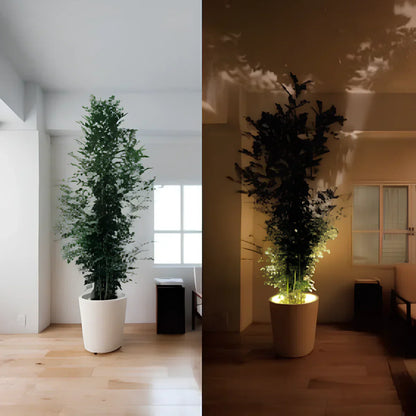 Stylish LED Wall Light Adjustable Spotlight