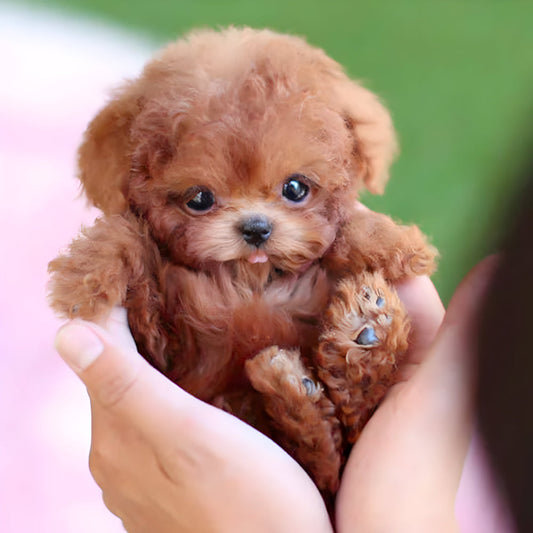 Fun Electronic Pet Dog Toy for Children - Pexav