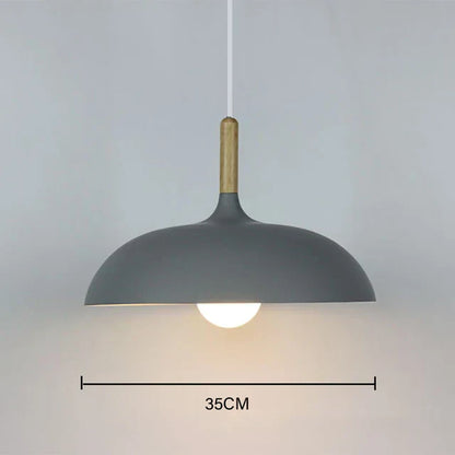 Simple Modern Hanging Pendant Ceiling Light