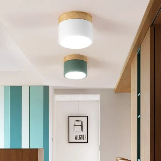 Classic Slim LED Ceiling Fixture - Pexav