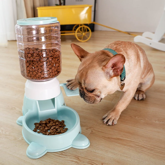 Fun Automatic Pet Food Dispenser - Pexav