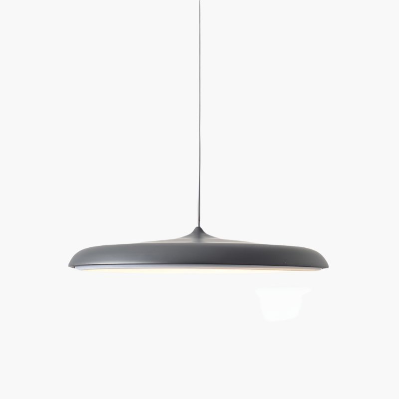 Simple Chic LED Hanging Light Fixture