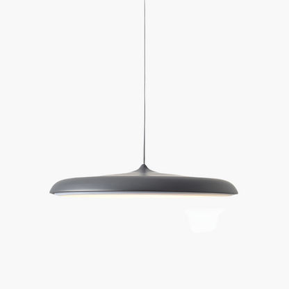 Simple Chic LED Hanging Light Fixture