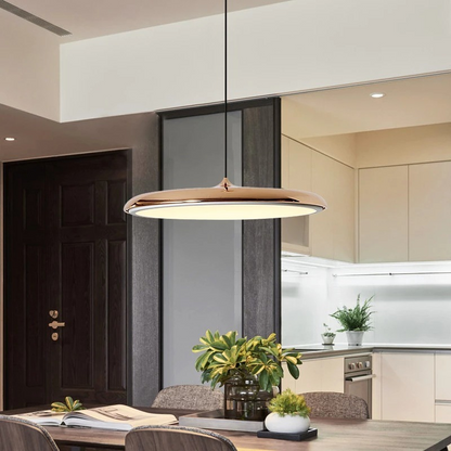 Simple Chic LED Hanging Light Fixture