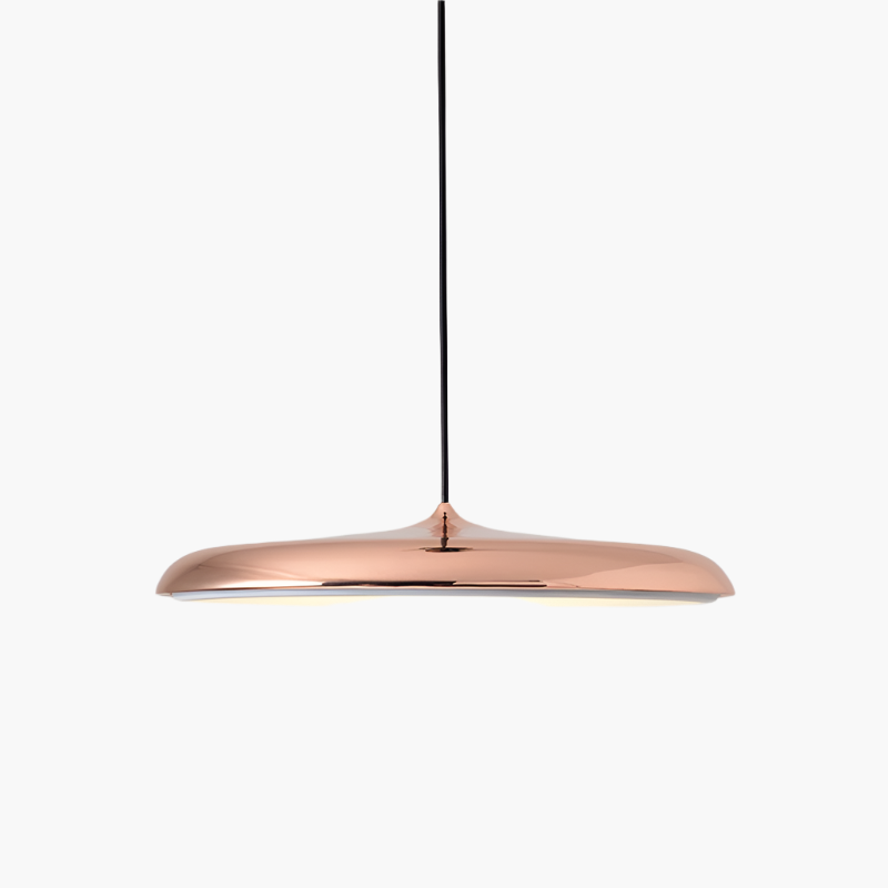 Simple Chic LED Hanging Light Fixture