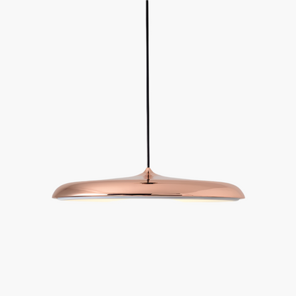 Simple Chic LED Hanging Light Fixture