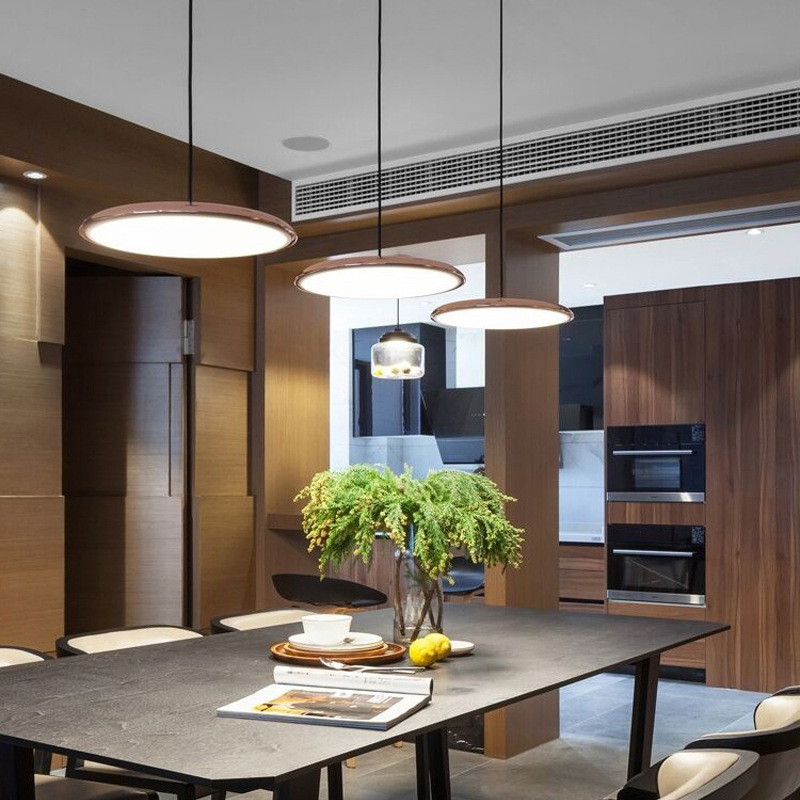 Simple Chic LED Hanging Light Fixture