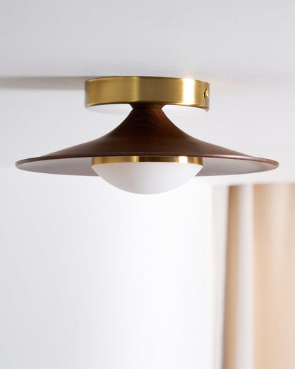 Slim LED Flush Mount Ceiling Light Fixture