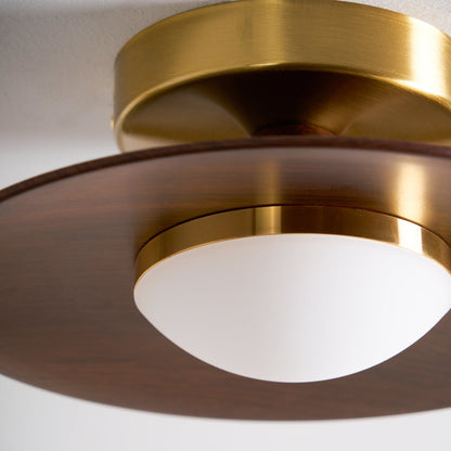 Slim LED Flush Mount Ceiling Light Fixture