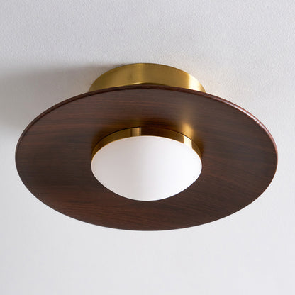 Slim LED Flush Mount Ceiling Light Fixture