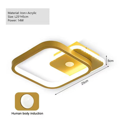 PIR Motion Sensor LED Ceiling Light | Smart Lighting | Energy Efficient | Perfect for Hallway & Bathroom