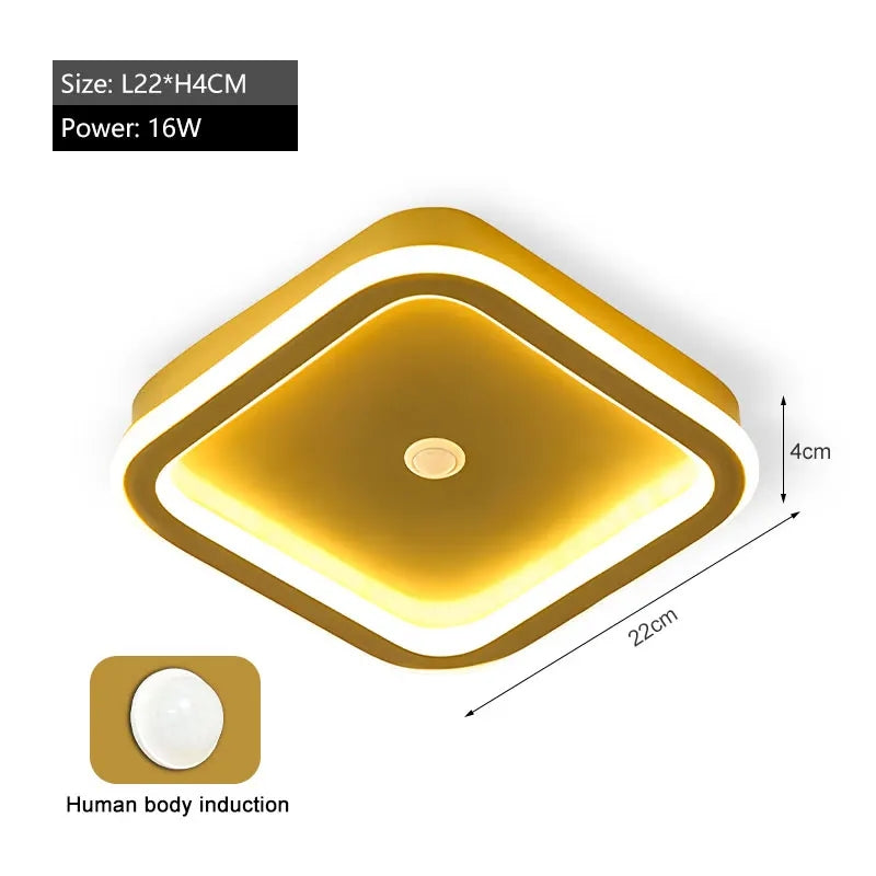 PIR Motion Sensor LED Ceiling Light | Smart Lighting | Energy Efficient | Perfect for Hallway & Bathroom
