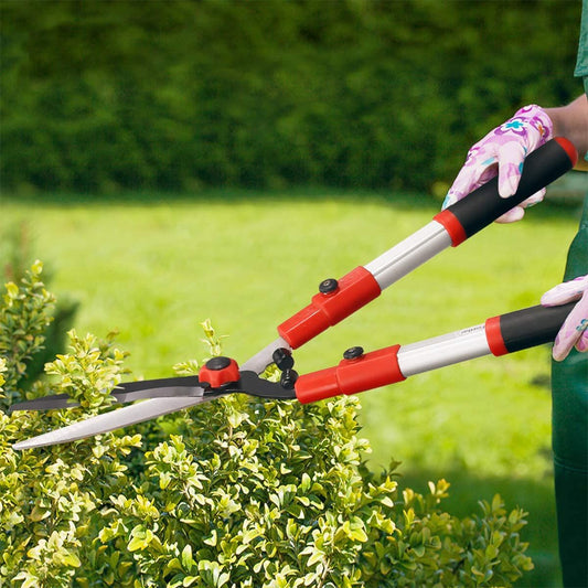 Strong Extendable Tree Pruner Cutter Tool - Pexav