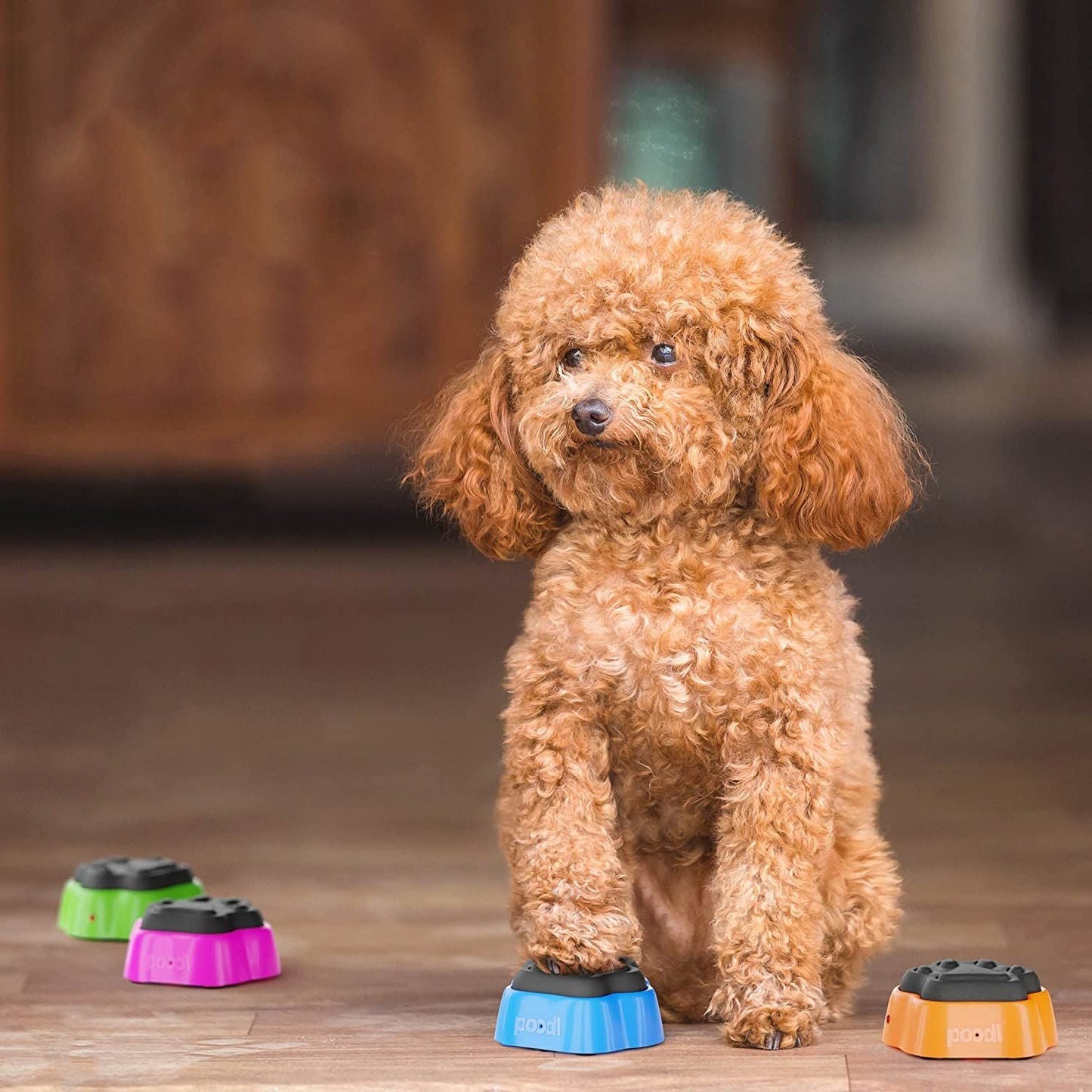 Interactive Pet Training Sound Button Device