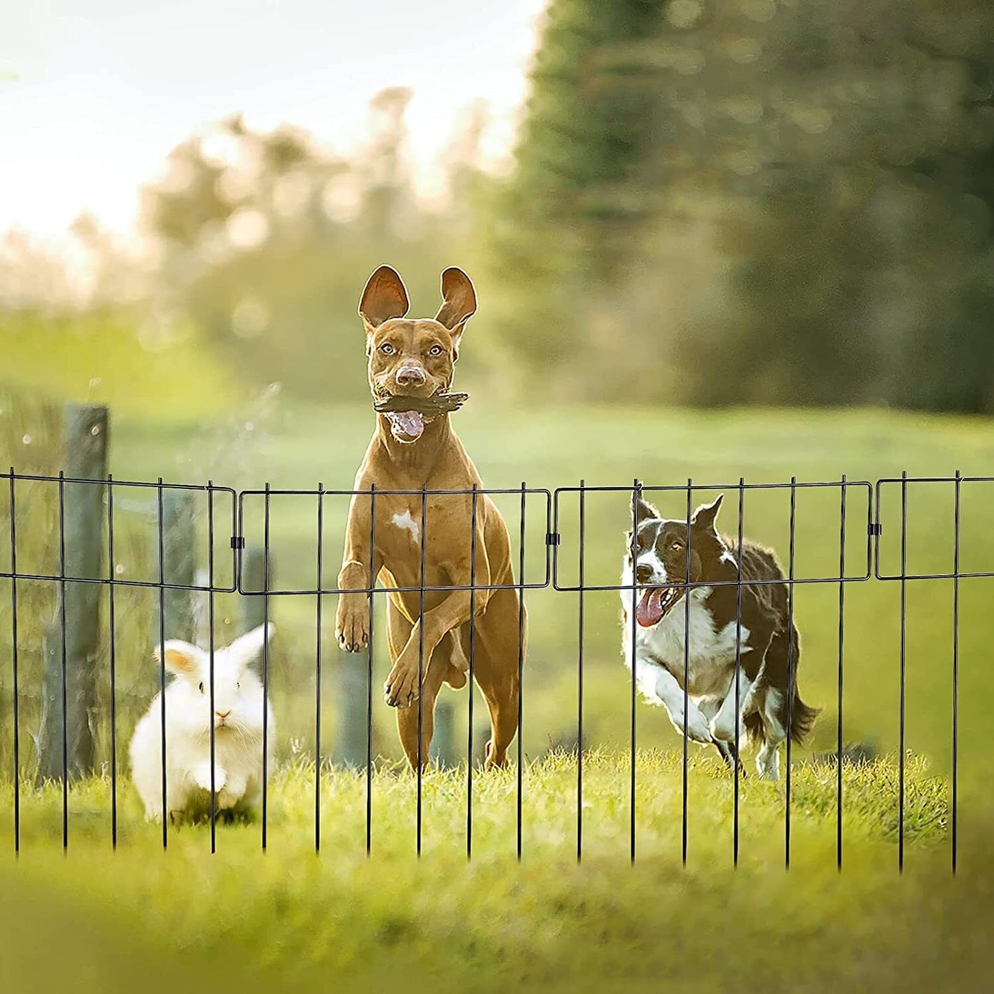 Strong Metal Yard Pet Gate Fence Outdoor Protection