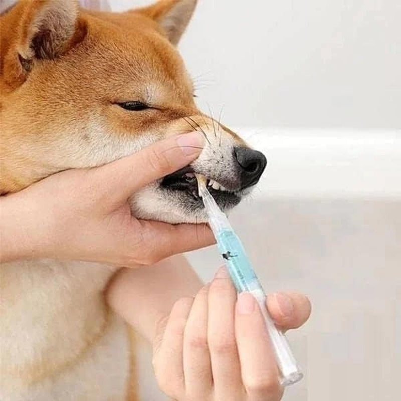 Pet Teeth Repairing Kit with Dual-Ended Scraper for Safe and Easy At-Home Tartar Removal