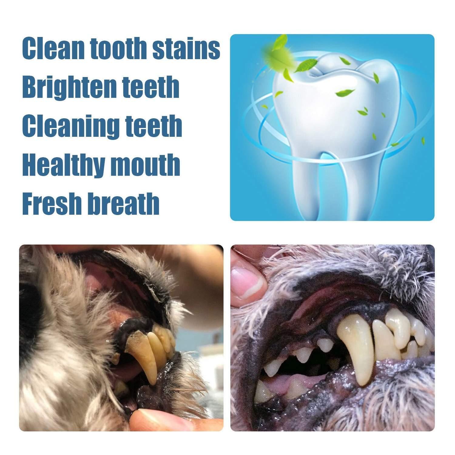 Pet Teeth Repairing Kit with Dual-Ended Scraper for Safe and Easy At-Home Tartar Removal