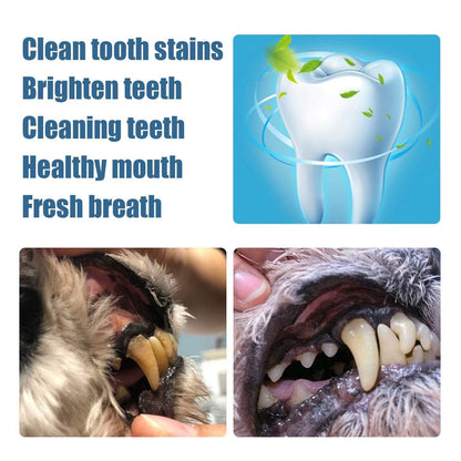 Pet Teeth Repairing Kit with Dual-Ended Scraper for Safe and Easy At-Home Tartar Removal