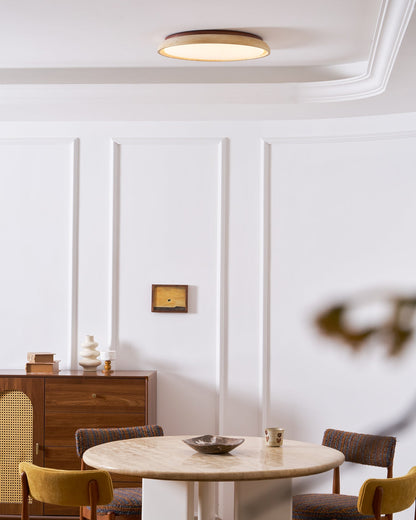 Stylish Circular LED Ceiling Fixtures for Home