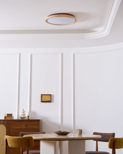 Stylish Circular LED Ceiling Fixtures for Home