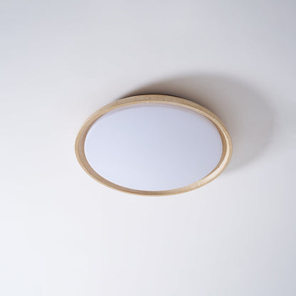 Stylish Circular LED Ceiling Fixtures for Home