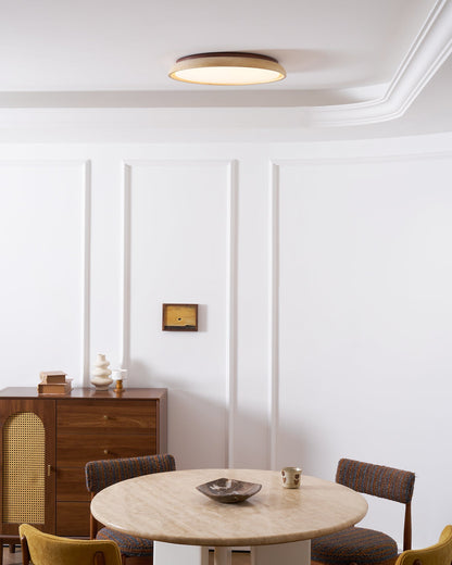 Stylish Circular LED Ceiling Fixtures for Home