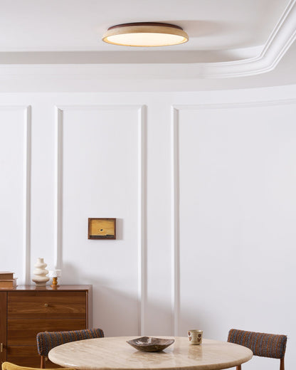 Stylish Circular LED Ceiling Fixtures for Home