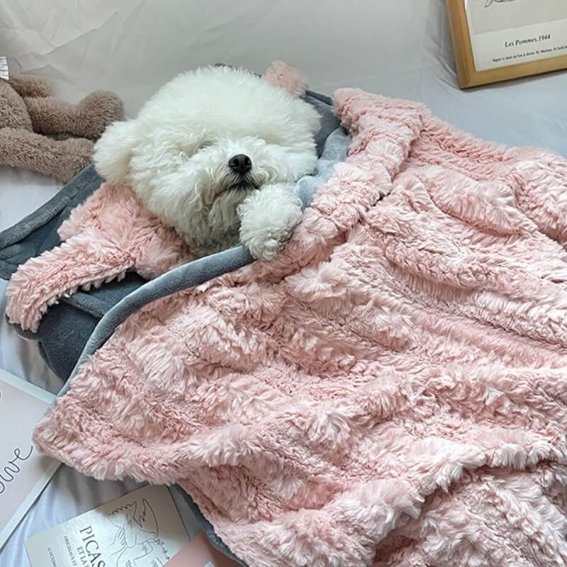 Cozy Cute Pet Bed with Soft Pillow and Blanket - Pexav