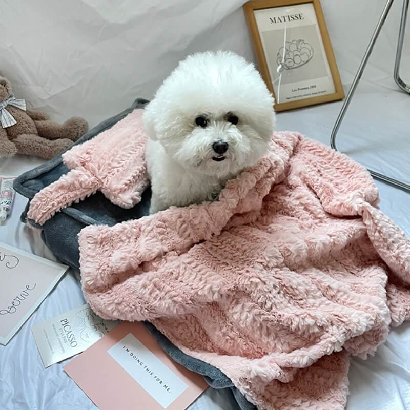 Cozy Cute Pet Bed with Soft Pillow and Blanket