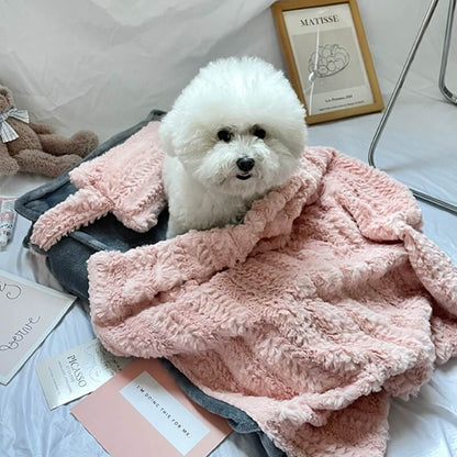 Cozy Cute Pet Bed with Soft Pillow and Blanket