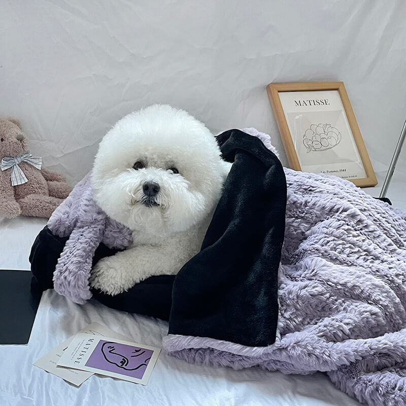 Cozy Cute Pet Bed with Soft Pillow and Blanket