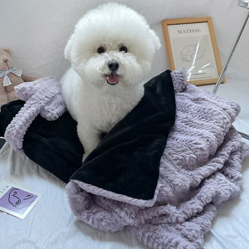 Cozy Cute Pet Bed with Soft Pillow and Blanket