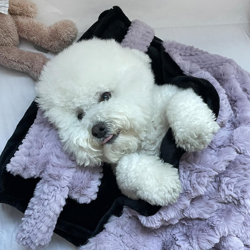 Cozy Cute Pet Bed with Soft Pillow and Blanket