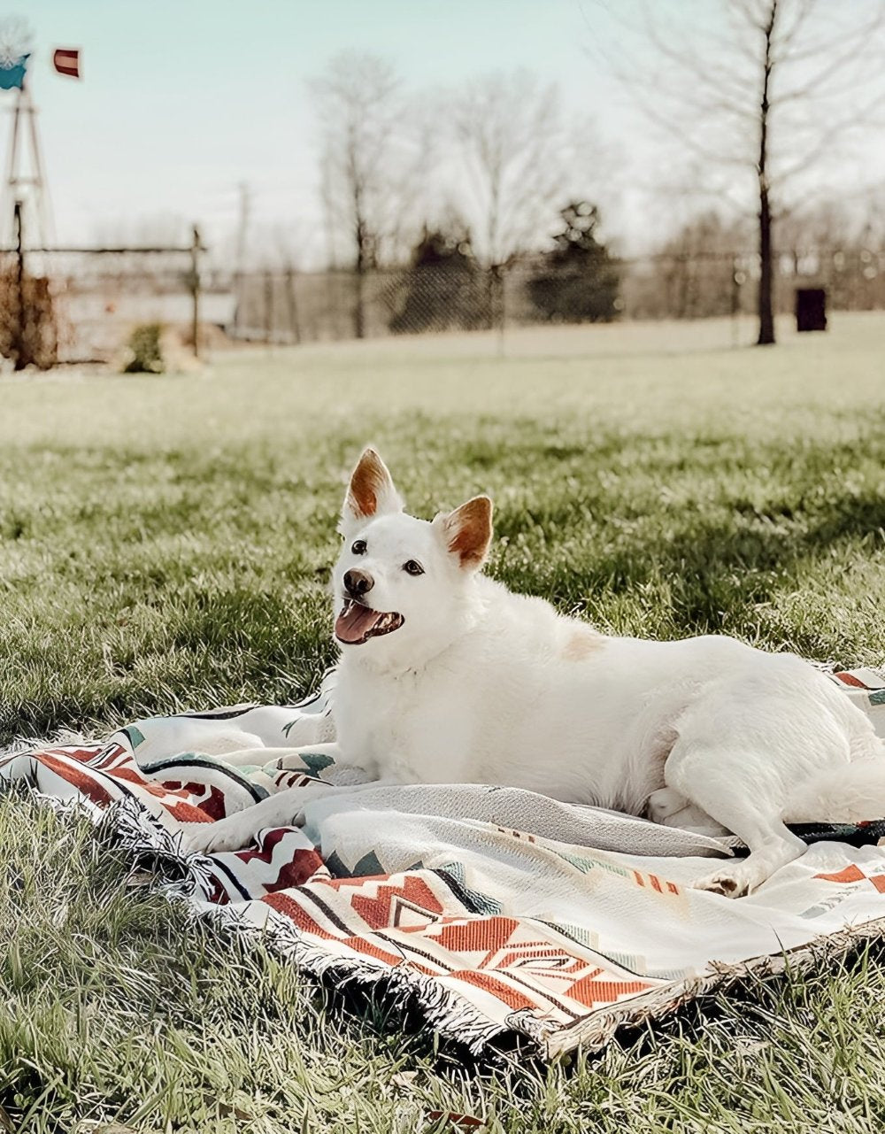 Waterproof Picnic Mat, Compact Travel Blanket