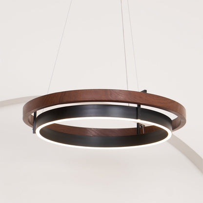 Stylish Double Ring LED Ceiling Light Fixture