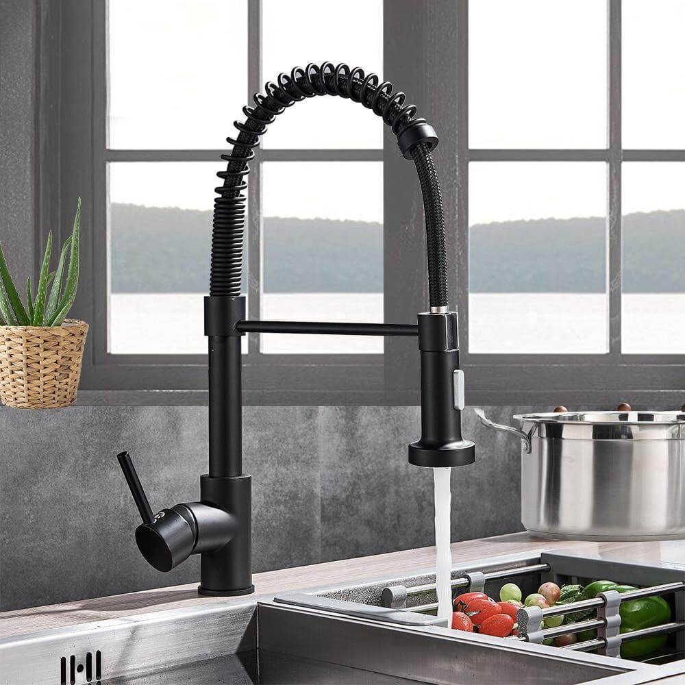 Swivel Spout 360 Spray Kitchen Faucet - Pexav