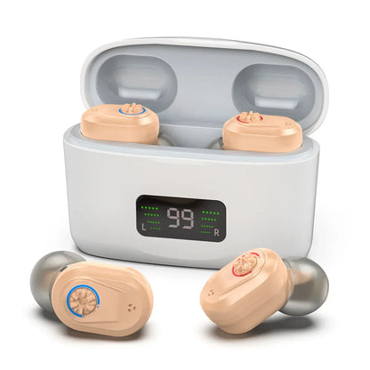 Compact Digital Hearing Aid with Noise Cancellation