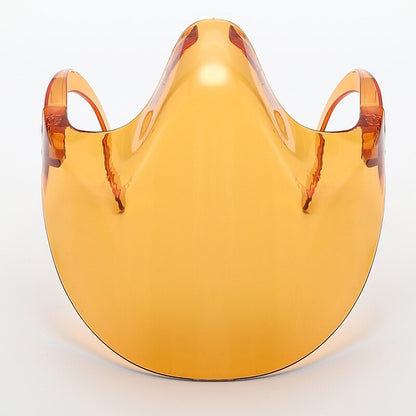 Transparent Full Face Guard Protector