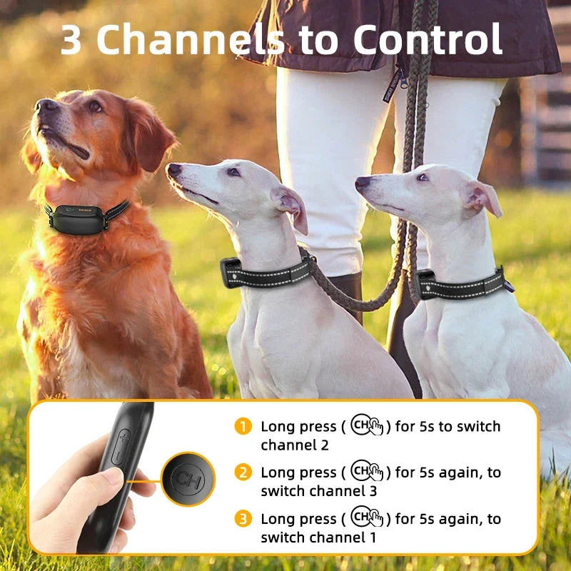 Waterproof Remote Dog Trainer Collar with Long Range Control