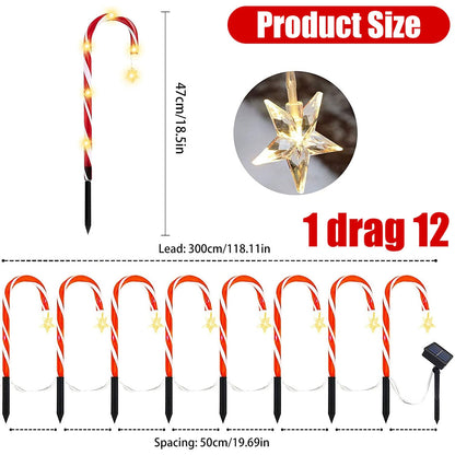 Colorful Outdoor Solar Powered Lamp